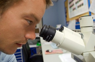 people, scientist, microscope, research