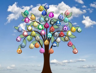 Tree, social media platforms