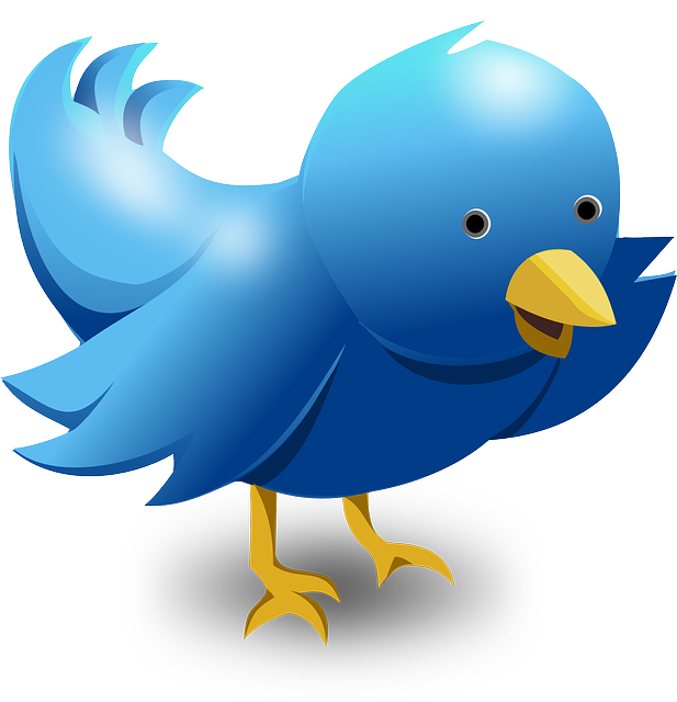 Retweet with comment is latest bonus for businesses on Twitter image