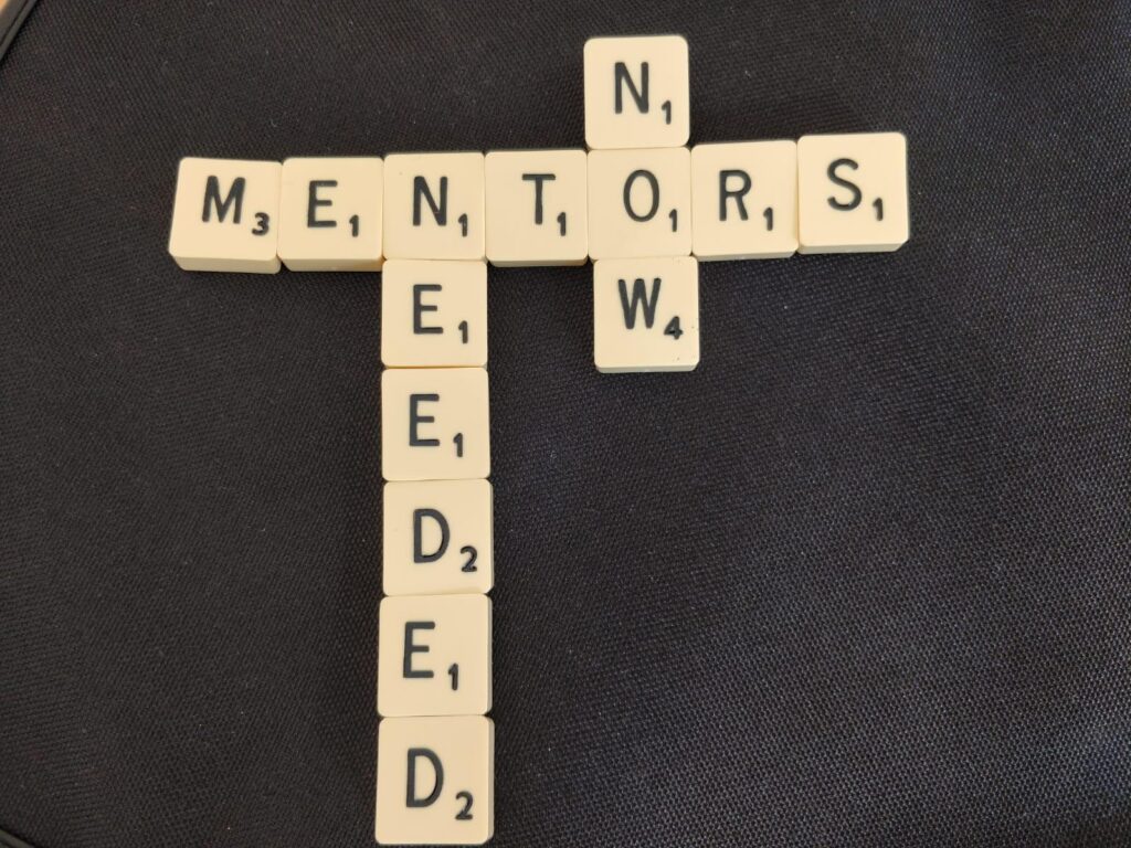 500 mentors image
