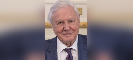 David Attenborough at 100. What are we doing writing people off at 50? image